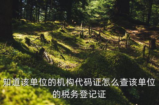 如何查企業(yè)稅務(wù)登記證號(hào)，公司的稅務(wù)登記證號(hào)怎么查詢(xún)
