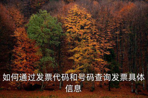 如何查詢發(fā)票詳細(xì)信息查詢，如何通過發(fā)票代碼和號(hào)碼查詢發(fā)票具體信息
