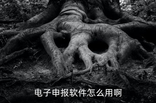 濟(jì)南電子稅務(wù)如何使用，網(wǎng)上辦稅平臺(tái)手機(jī)app怎么操作