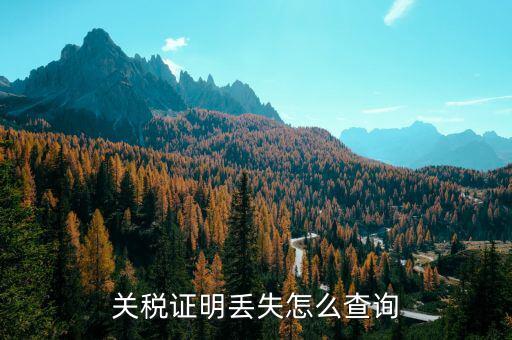 如何查納稅證明，個(gè)人的納稅證明網(wǎng)上能查嗎