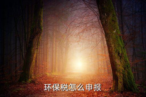 環(huán)境保護稅b類如何申報表，環(huán)保稅申報步驟是什么