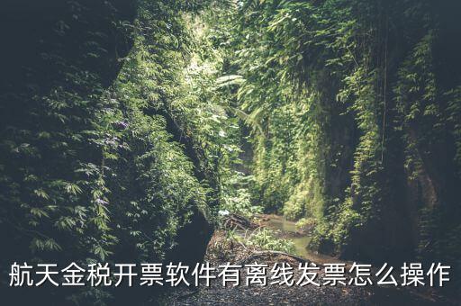 如何設(shè)置離線開票，金稅系統(tǒng)開票機(jī)怎樣恢復(fù)離線時限