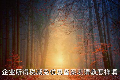 企業(yè)所得優(yōu)惠備案如何，企業(yè)所得稅減免優(yōu)惠備案表請(qǐng)教怎樣填