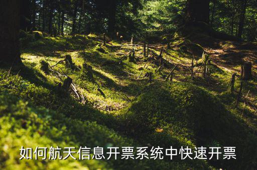 航天信息如何開票，怎么在航天信息開票軟件開紅字發(fā)票