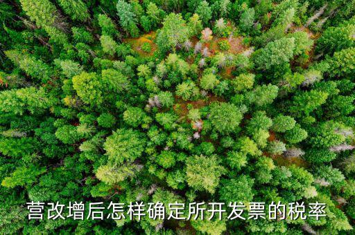 開(kāi)票時(shí)稅率如何確認(rèn)，發(fā)票的稅是怎么算的是不是數(shù)額越大要繳稅的百分比就越大比