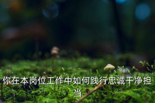 稅務干部如何講忠誠，如何做對黨忠誠個人干凈敢于的好干部