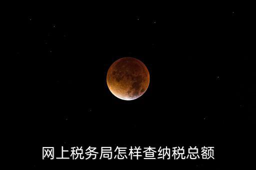 國稅局如何查稅，網上稅務局怎樣查納稅總額