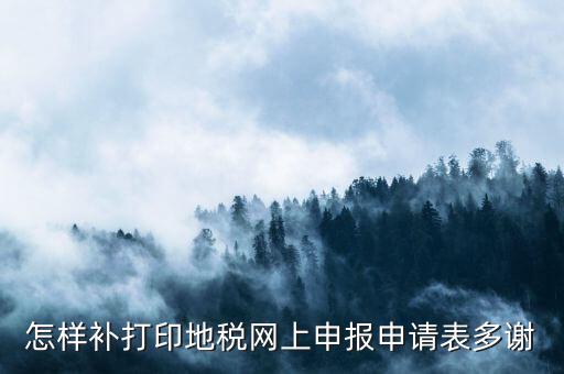 怎樣補打印地稅網上申報申請表多謝