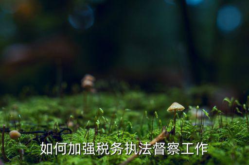 如何加強稅務系統(tǒng)巡視巡察，如何加強稅務執(zhí)法督察工作