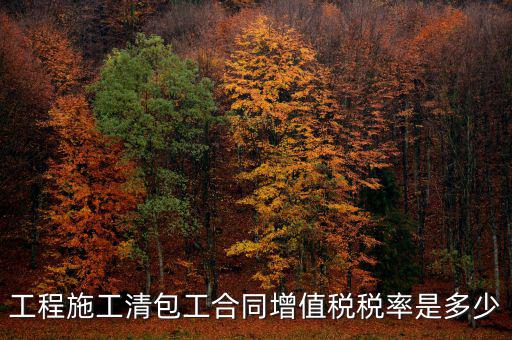 清包工 如何稅務(wù)，一般納稅人去國稅說明是清包工怎么寫說明