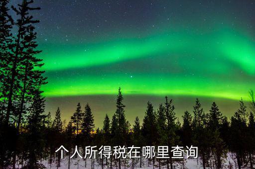 江蘇自然人如何查詢個(gè)稅繳納，個(gè)人稅怎么查