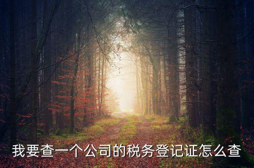 如何查企業(yè)的稅務(wù)登記證號，公司的稅務(wù)登記證號怎么查詢