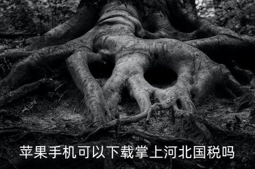 河北掌上國稅如何注冊，蘋果手機(jī)可以下載掌上河北國稅嗎