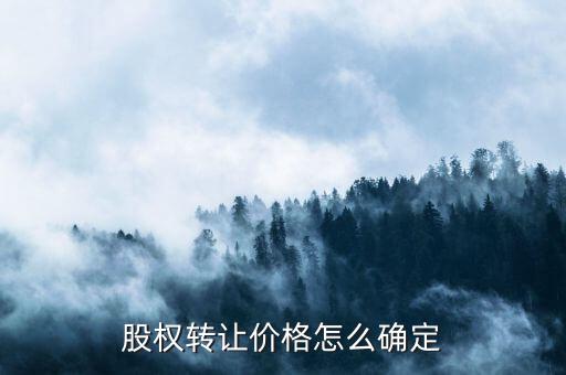 股權(quán)轉(zhuǎn)讓價款如何計(jì)算，怎樣計(jì)算股份轉(zhuǎn)讓的合理價位