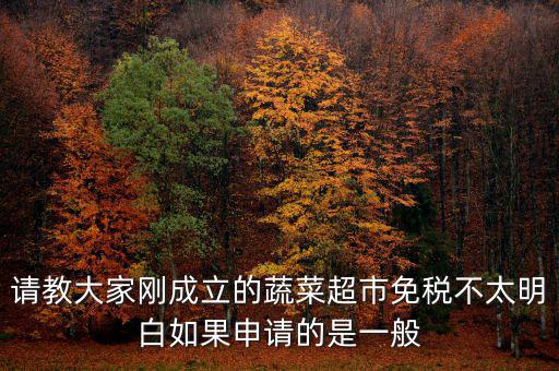 蔬菜免稅如何申請，如何申請蔬菜免稅發(fā)票