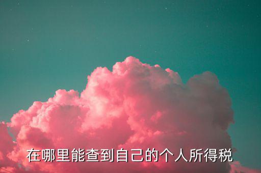 如何 查稅法，查看稅收法