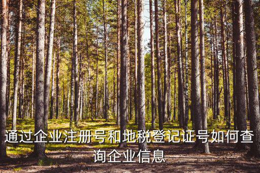 企業(yè)稅務信息如何查詢，通過企業(yè)注冊號和地稅登記證號如何查詢企業(yè)信息