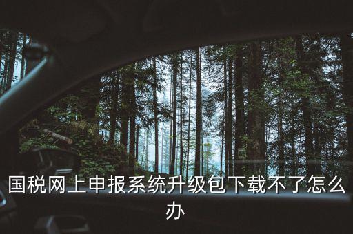 國稅網(wǎng)上申報(bào)系統(tǒng)升級(jí)包下載不了怎么辦