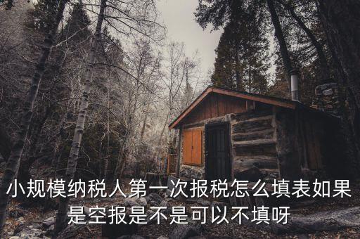 如何填寫首次辦稅補(bǔ)充信息表，稅務(wù)登記補(bǔ)充信息采集表怎么填 誰(shuí)知道啊