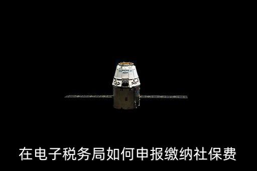 在電子稅務(wù)局如何申報繳納社保費(fèi)