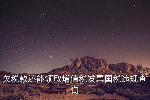 欠稅款還能領(lǐng)取增值稅發(fā)票國(guó)稅違規(guī)查詢(xún)