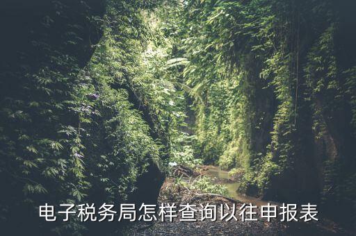 寧波地稅如何查往期申報信息，怎樣查看地稅網上申報記錄