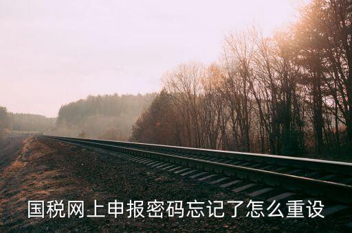 網(wǎng)上稅務(wù)局登錄密碼如何重置，國稅網(wǎng)上申報(bào)密碼忘記了怎么重設(shè)