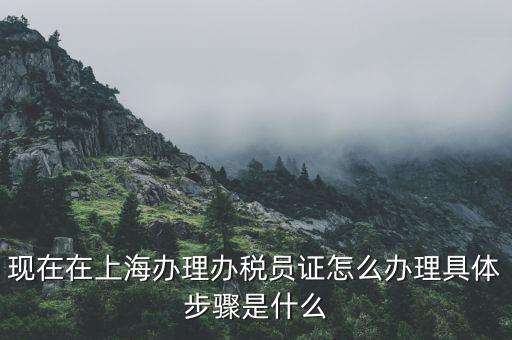 如何成為辦稅員，成為稅務(wù)人員的基本要求是什么