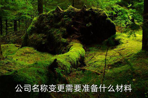 企業(yè)變更登記如何辦理，公司名稱變更需要準(zhǔn)備什么材料