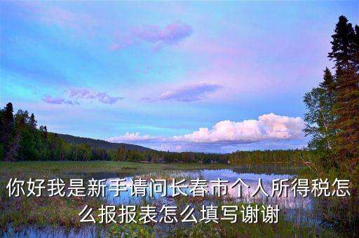 長春國稅如何報稅，長春市地稅申報
