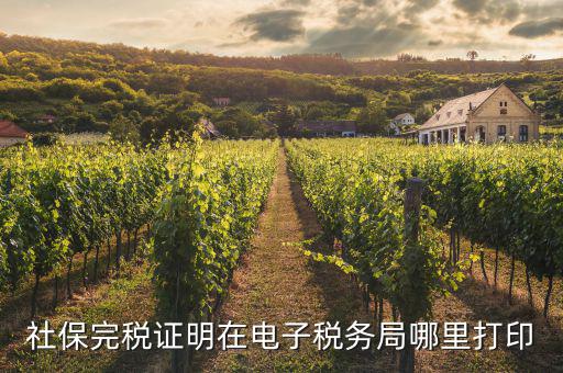 重慶電子稅務(wù)局如何打印社保，社保發(fā)票在電子稅務(wù)局哪里打印