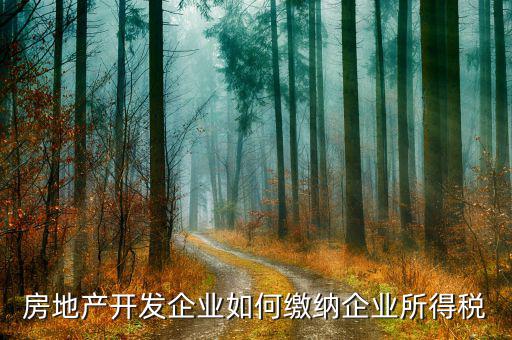 房地產(chǎn)企業(yè)異地開發(fā)如何納稅，急房地產(chǎn)開發(fā)企業(yè)如何交稅