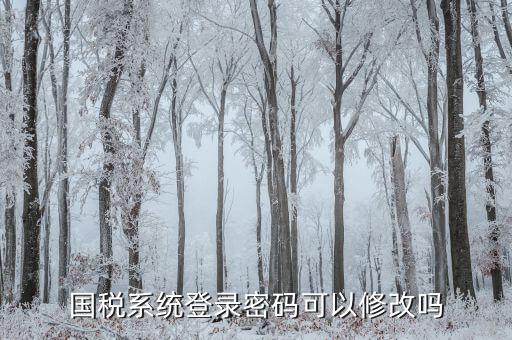 如何修改納稅申報(bào)密碼，金稅三期怎樣修改報(bào)稅密碼