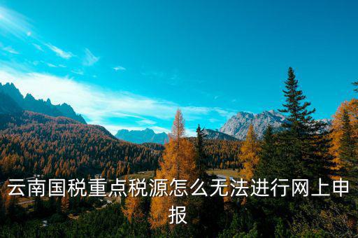 國稅重點稅源數(shù)據(jù)如何申報，重點稅源申報系統(tǒng)里面怎么把以前的數(shù)據(jù)導(dǎo)進系統(tǒng)里面呢