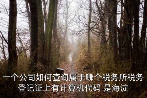 一個公司如何查詢屬于哪個稅務(wù)所稅務(wù)登記證上有計(jì)算機(jī)代碼 是海淀
