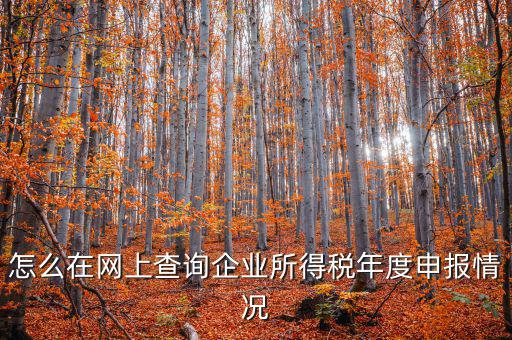 企業(yè)稅務(wù)信息如何查詢系統(tǒng)，通過企業(yè)注冊號和地稅登記證號如何查詢企業(yè)信息