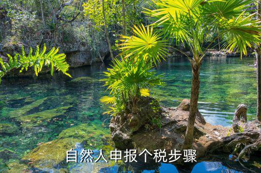 如何使用自然人納稅系統(tǒng)，新辦企業(yè)怎樣登錄自然人電子稅務局扣繳端