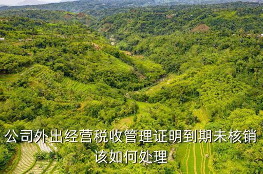 未核銷外經(jīng)證如何查詢，外經(jīng)證有效期在網(wǎng)上怎么查詢