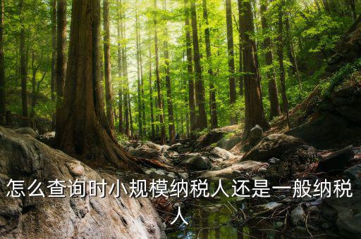 如何查詢成為納稅人時(shí)間，怎么查詢時(shí)小規(guī)模納稅人還是一般納稅人