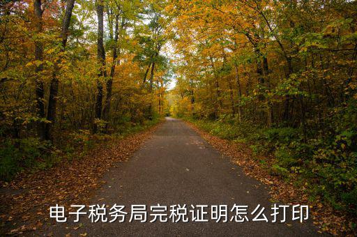 福建省網(wǎng)上稅務(wù)局如何打印，電子稅務(wù)局完稅證明怎么打印