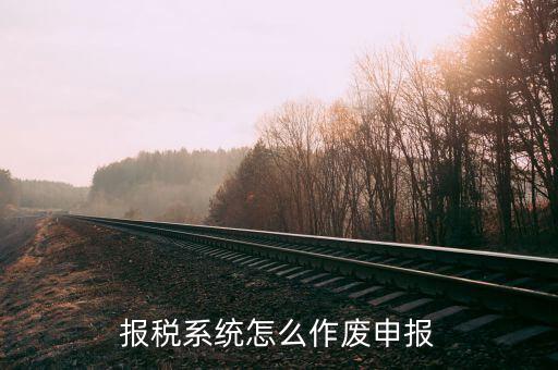 國(guó)稅報(bào)表如何申請(qǐng)作廢，國(guó)稅申報(bào)作廢