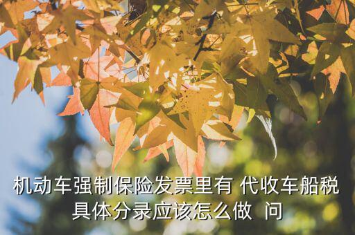 代收車船費如何記賬，機動車強制保險發(fā)票里有 代收車船稅具體分錄應(yīng)該怎么做  問