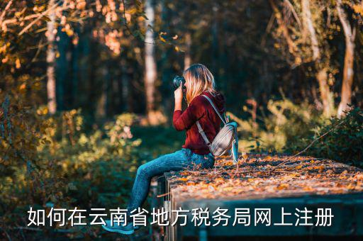 如何進入云南稅務系統(tǒng)上報稅，如何在云南省地方稅務局網(wǎng)上注冊