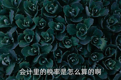 簡(jiǎn)易征收稅率如何計(jì)算方法，增值稅簡(jiǎn)易計(jì)稅方法計(jì)算公式是什么 會(huì)計(jì)問(wèn)答網(wǎng)