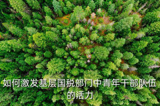 稅務如何激發(fā)干部活力，如何激發(fā)稅務干部的創(chuàng)新積極性