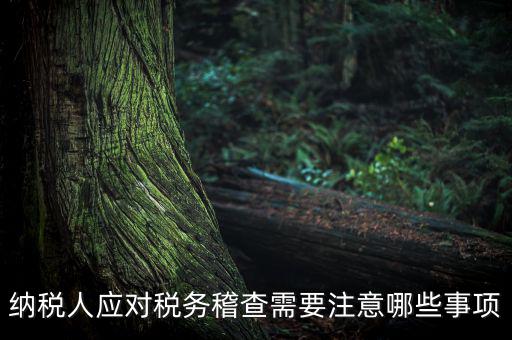國稅稽查如何應(yīng)對聽證，怎么應(yīng)對稅務(wù)局的稅務(wù)稽查