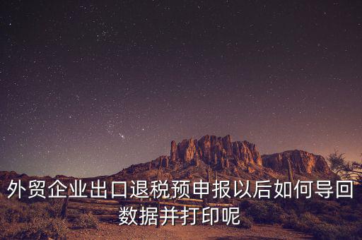 外貿(mào)企業(yè)出口退稅預申報以后如何導回數(shù)據(jù)并打印呢