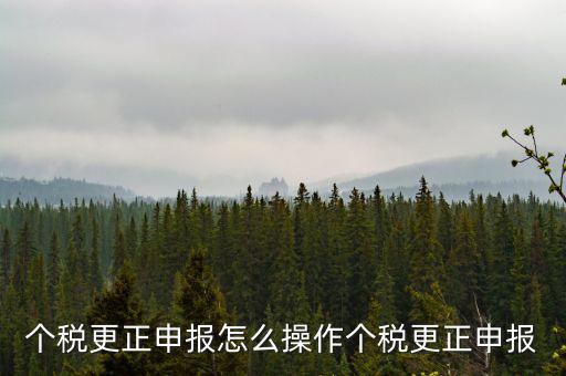 福建個(gè)人所得稅如何申報(bào)更正，個(gè)稅申報(bào)錯(cuò)了如何更正