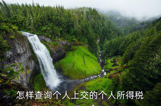 如何查詢個(gè)人稅務(wù)信息，怎樣查詢個(gè)人上交的個(gè)人所得稅