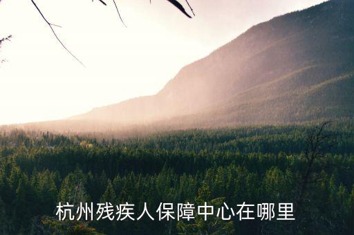 杭州市殘保證如何申請，杭州殘疾人保障中心在哪里